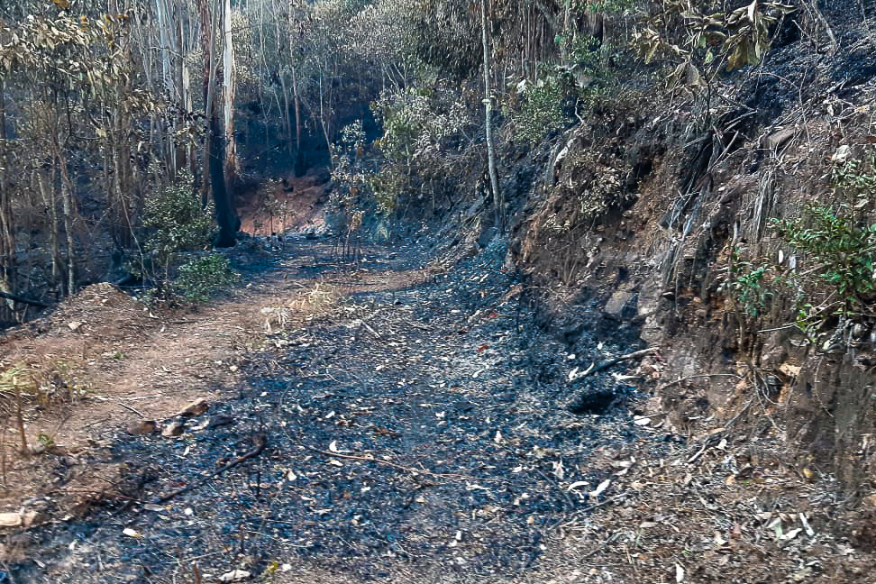Força-tarefa controla incêndio na Serra do Japi
