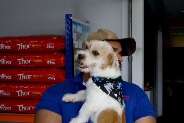 Prefeitura de Cuiab | Animais conquistam coraes e encontram novos lares em feira de adoo