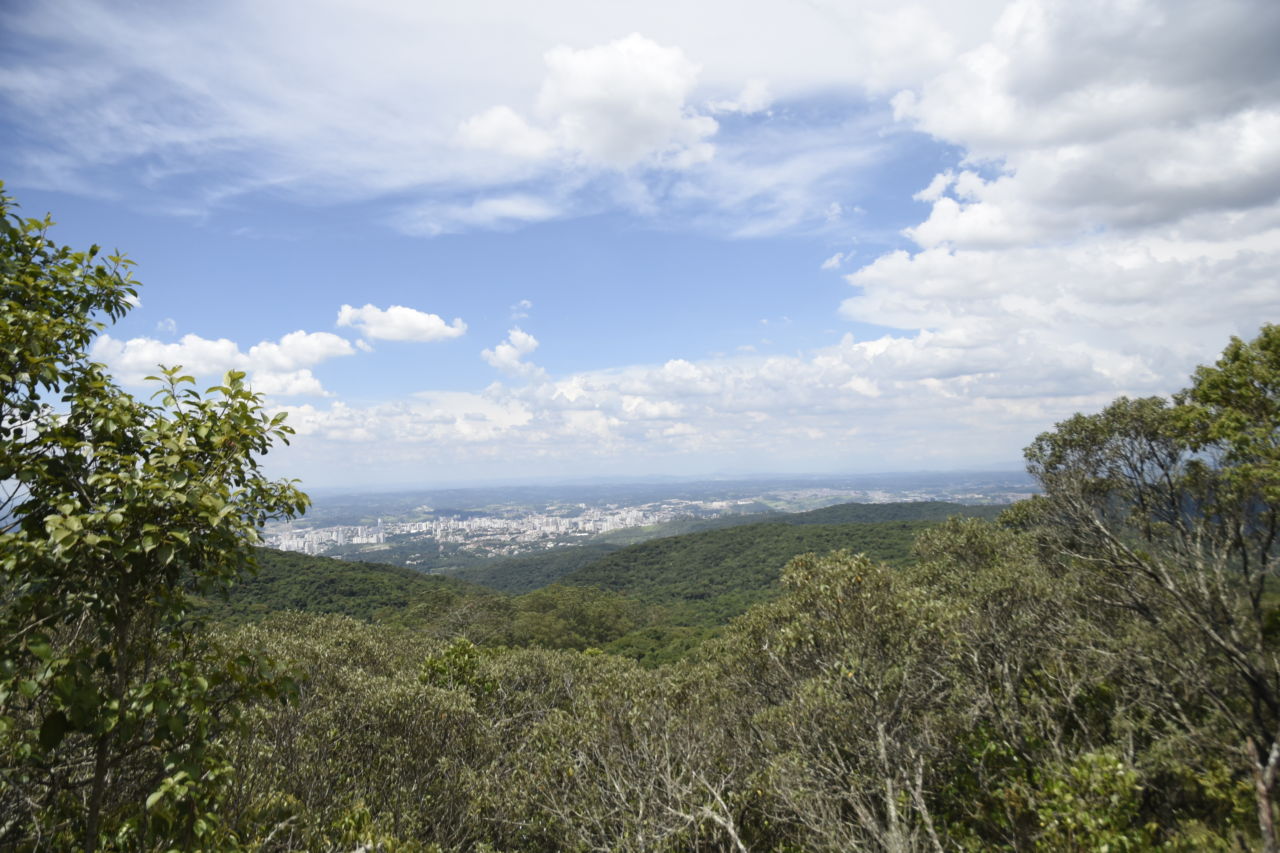 Santa Clara terá ação ambiental, neste sábado (19)