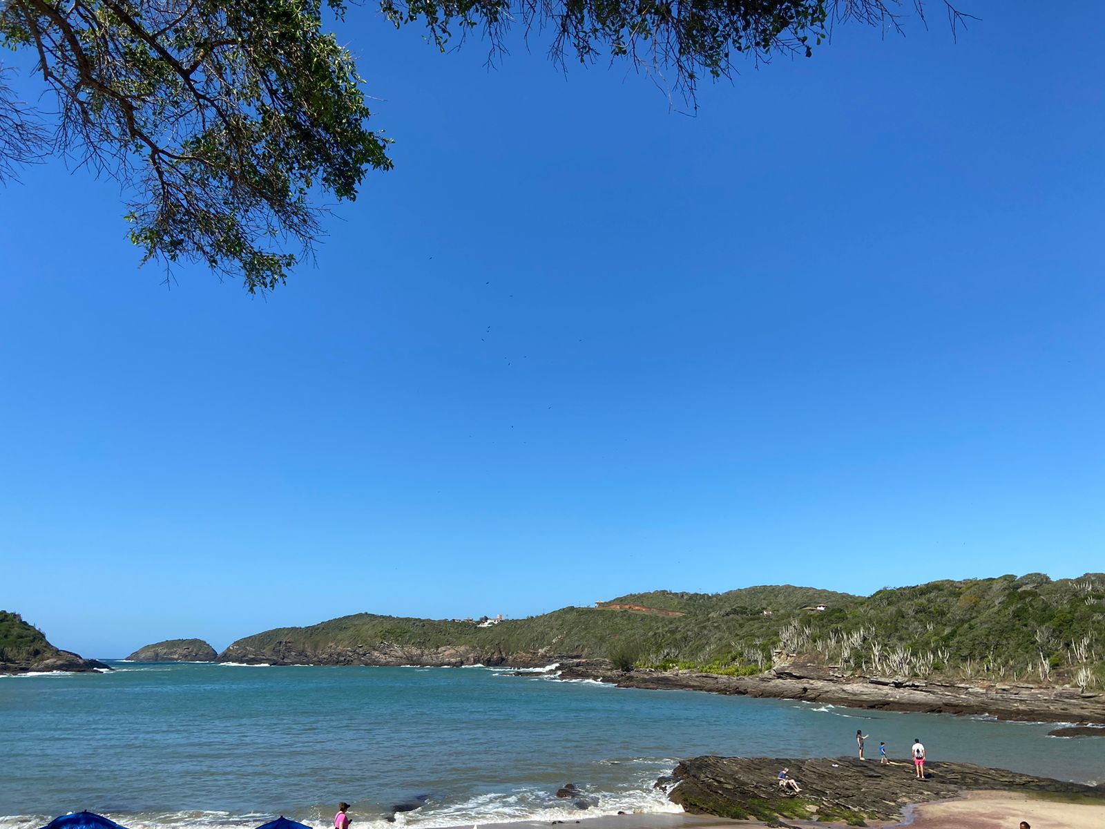 Foco em limpar as praias: ações pelo Dia Mundial de Limpeza de Praias retiram mais de meia tonelada de lixo das nossas águas