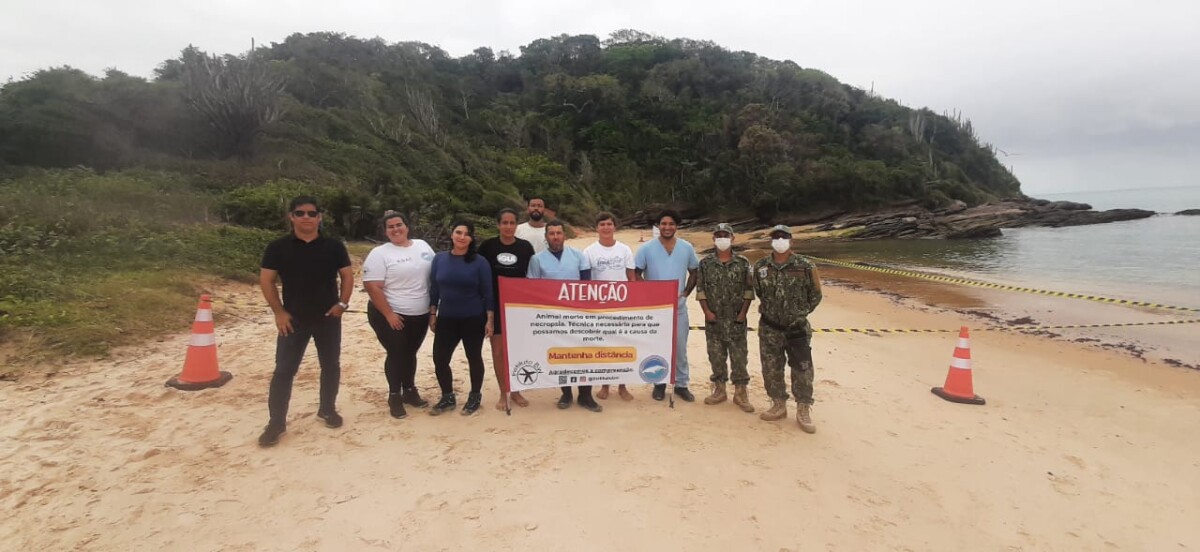 Secretaria do Ambiente acompanha Institutos de Pesquisa no trabalho para saber a causa da morte do filhote de baleia encalhado na Praia do Canto