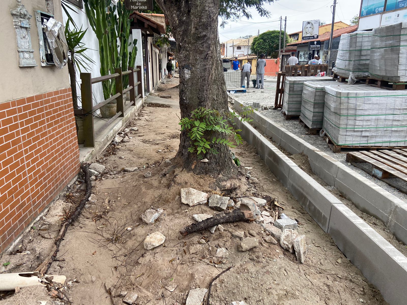 Secretaria do Ambiente esclarece sobre motivo da retirada de algumas árvores no Centro da Cidade