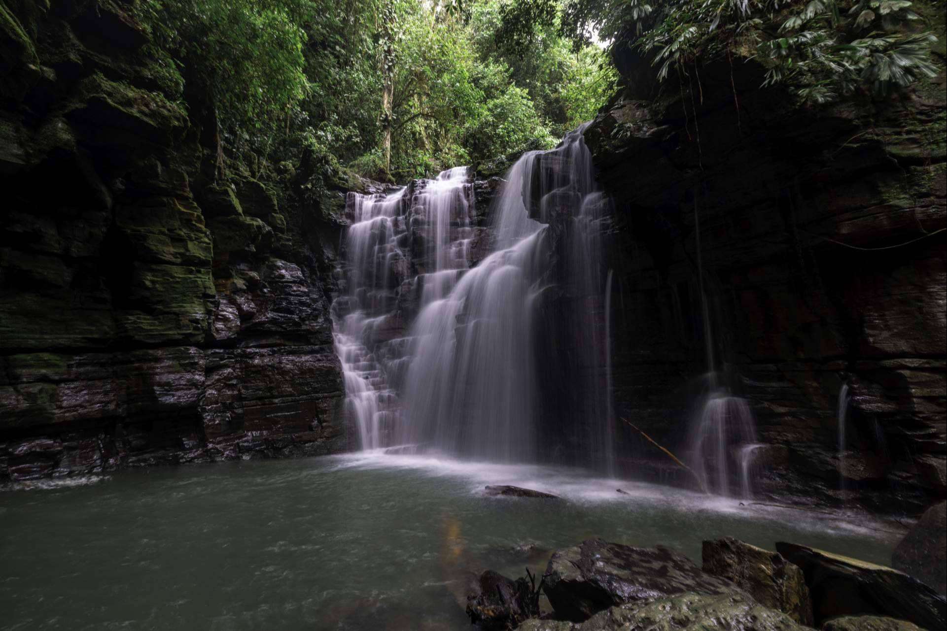 Exploración del Amazonia con Hamadryade Lodge